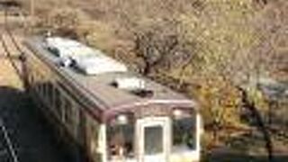 渡良瀬渓谷沿いを走る絶景列車