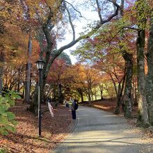 入り口からすぐの場所です