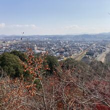 天文台から見た三次市内です