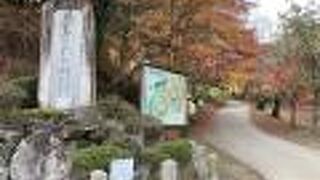 県内屈指の桜と紅葉の名所です