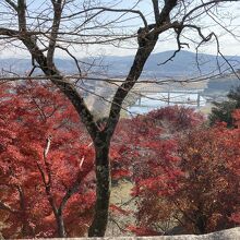 頂上からの景色です