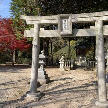 二つある山の頂上にある浅野神社です