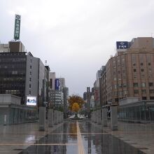 広い。それに尽きる。