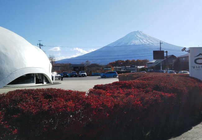 ほうとうで有名な店☆