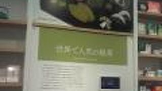 いろいろな体験もできる