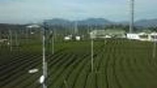 ミュージアムから