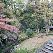 一年中楽しめる梅園