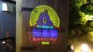 三門の上に有る舞台まで登れます。これは、ライトアップ期間は特別中の特別です。