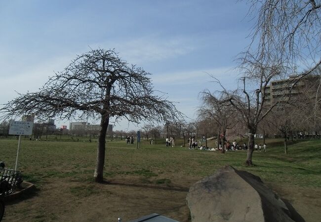 都立尾久の原公園 クチコミ アクセス 営業時間 田端 フォートラベル