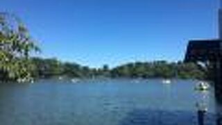 散歩が気持ちよい