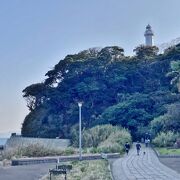 東京湾にせり出す自然豊かな岬