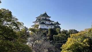 想像より小ぶりだった和歌山城