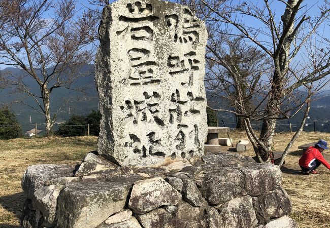 四王寺山にある高橋紹運が眠る山城址です。