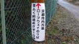 山頂からロープウェイの駅までの「励ましの言葉」が幸せにしてくれます。