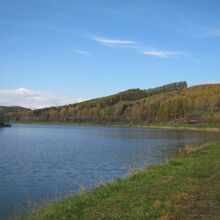 北東側から眺めた桜岡湖の景観