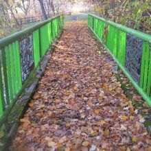 落ち葉で埋め尽くされた人道橋の様子