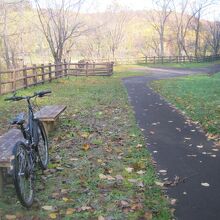 サイクリングもお勧めです