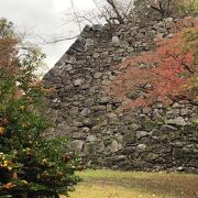 お城の跡と紅葉