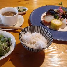 蝦夷しか肉ステーキランチセット