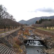 広い運動公園です。