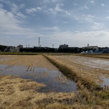 冬季灌水中の田