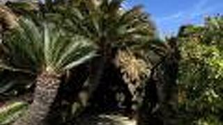 長いトンネルが続いています。