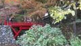 ミイラとなって里帰りした妙心法師が安置された古寺