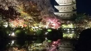 紅葉ライトアップ