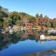 紅葉時期の早朝参拝