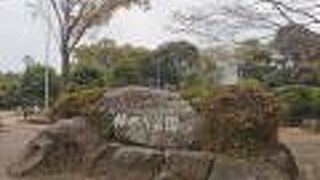 柿田川を中心とした憩いスポット