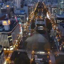さっぽろテレビ塔から見た大通公園の夜景公園の先には大倉山
