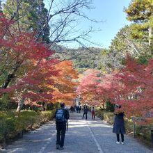 紅葉の馬場