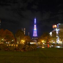 大通公園から見た夜のテレビ塔