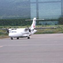 かわいらしい飛行機です