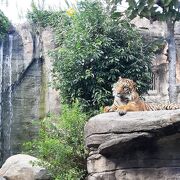 施設は老朽化していても、地下鉄八木山動物公園駅と直結しているのは便利