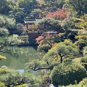 紅葉散策を気軽にしたい場合はこちら