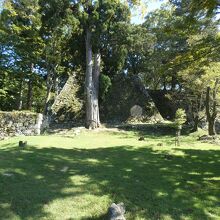 高取城址本丸跡