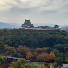 市役所の14階からの眺め
