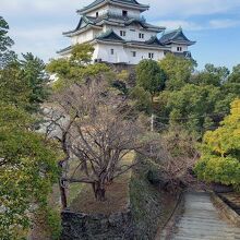 本丸からの眺め
