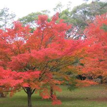 紅葉が良い感じ