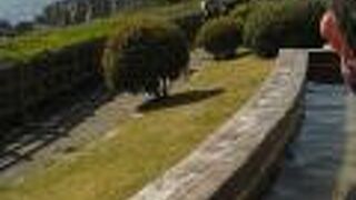 少しぬるかった