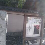 杉並区の閑静な住宅街の中に、突如紅葉の名所が出現。