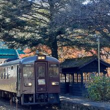 紅葉の沢入駅