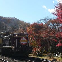 沢入駅を発車したトロッコ列車