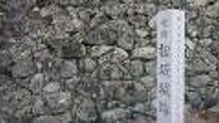 公園として有効利用されている模様