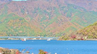 一周が17キロと言われました