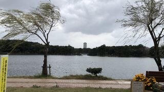大濠公園の中心