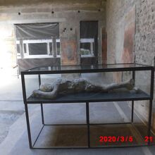 やはりミイラがありました