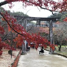 竈門神社の鳥居と見事な紅葉