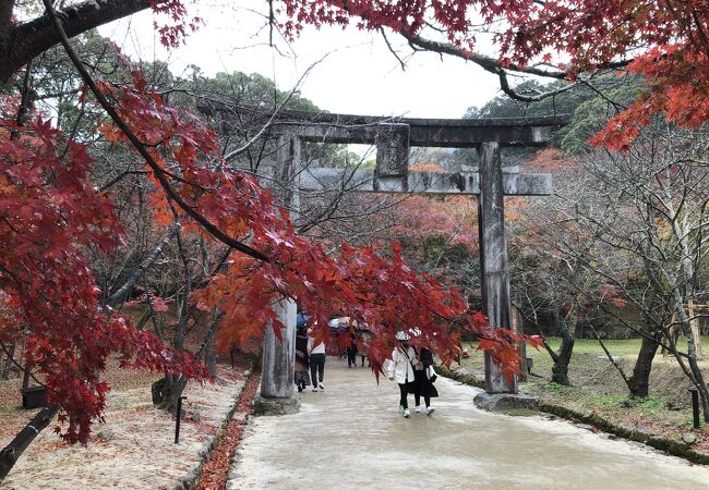 宝満宮 竈門神社 クチコミ アクセス 営業時間 大宰府 フォートラベル